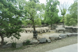 PG电子